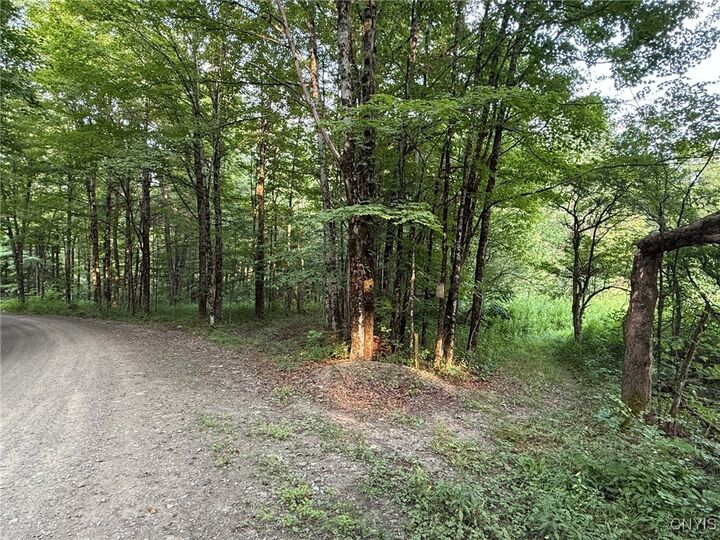 Dutch Hill Road  Cincinnatus NY 13040 photo