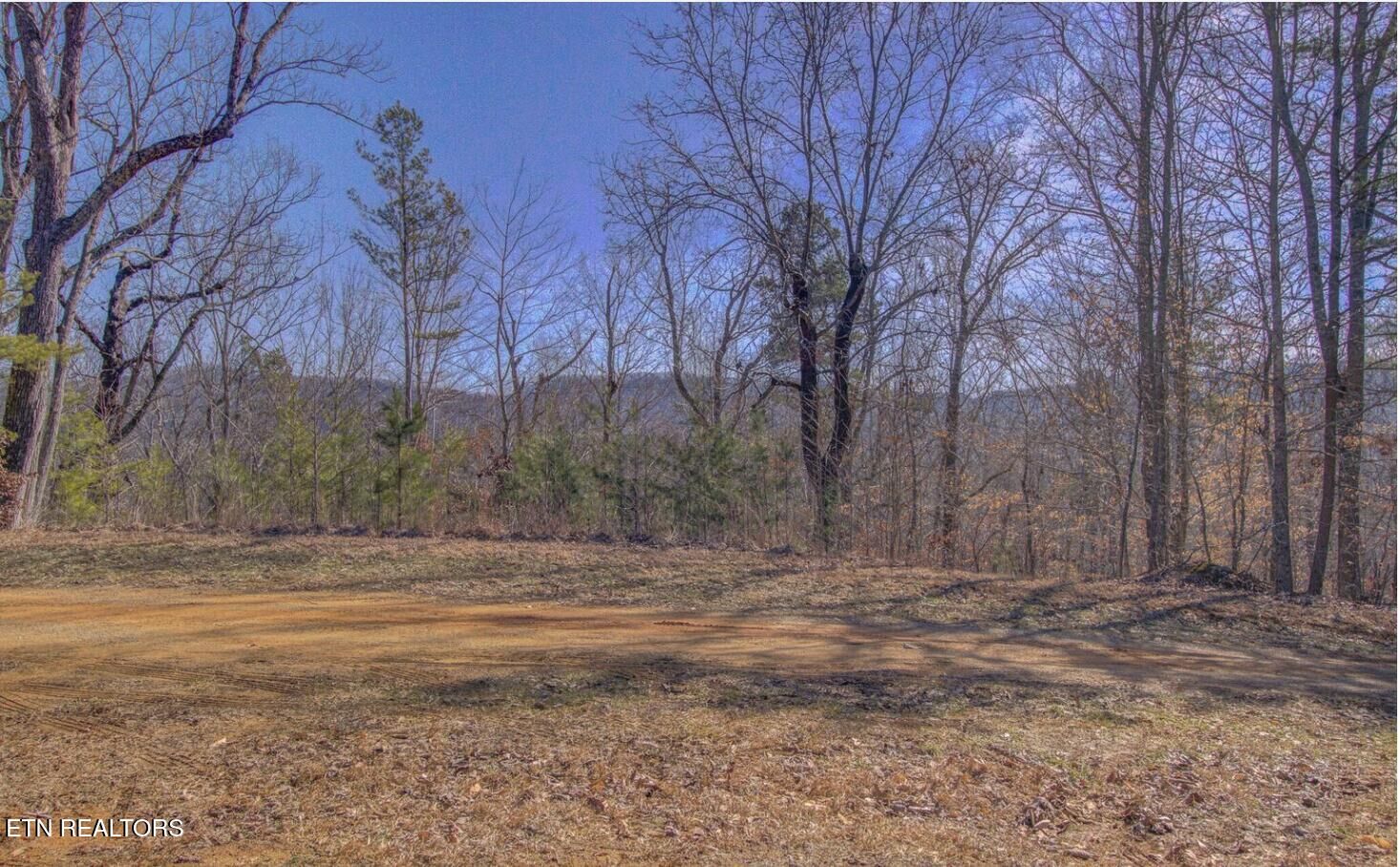 Property Photo:  4585 Crooked Creek Way Lot 3  TN 37803
