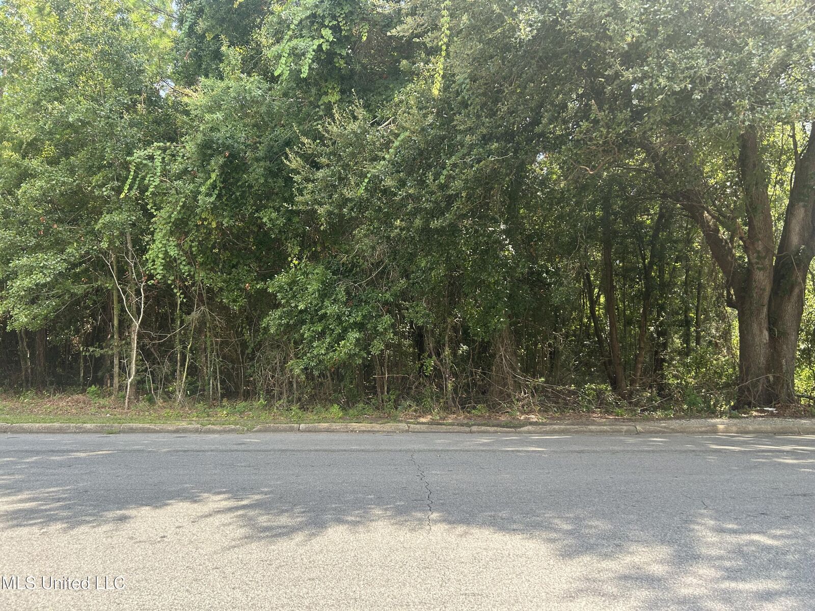 Property Photo:  0 Bartlett Avenue  MS 39567 