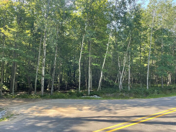 4750 N Ridge Road  Mears MI 49436 photo