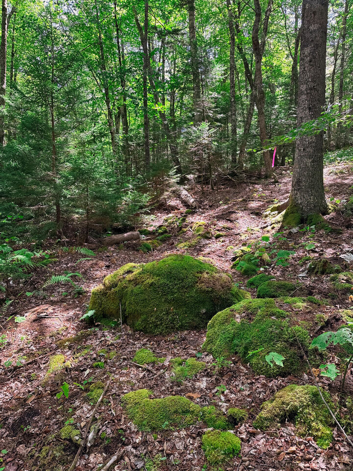 Property Photo: 50-52A-54 Old County Road ME 04676