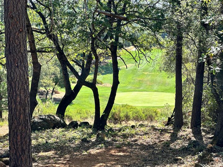 Property Photo:  4013 Summit View Court  CA 95722 