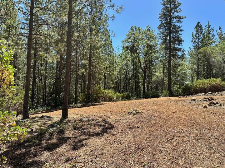 Property Photo:  16677 Winchester Club Drive  CA 95722 
