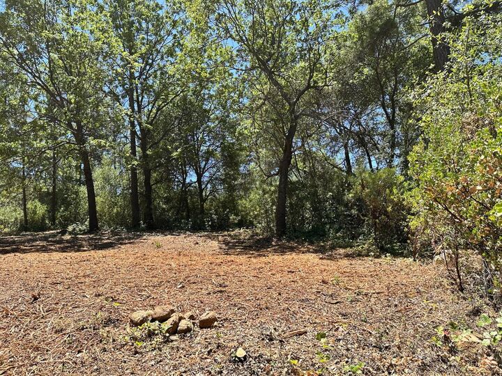 Property Photo:  16689 Winchester Club Drive  CA 95722 