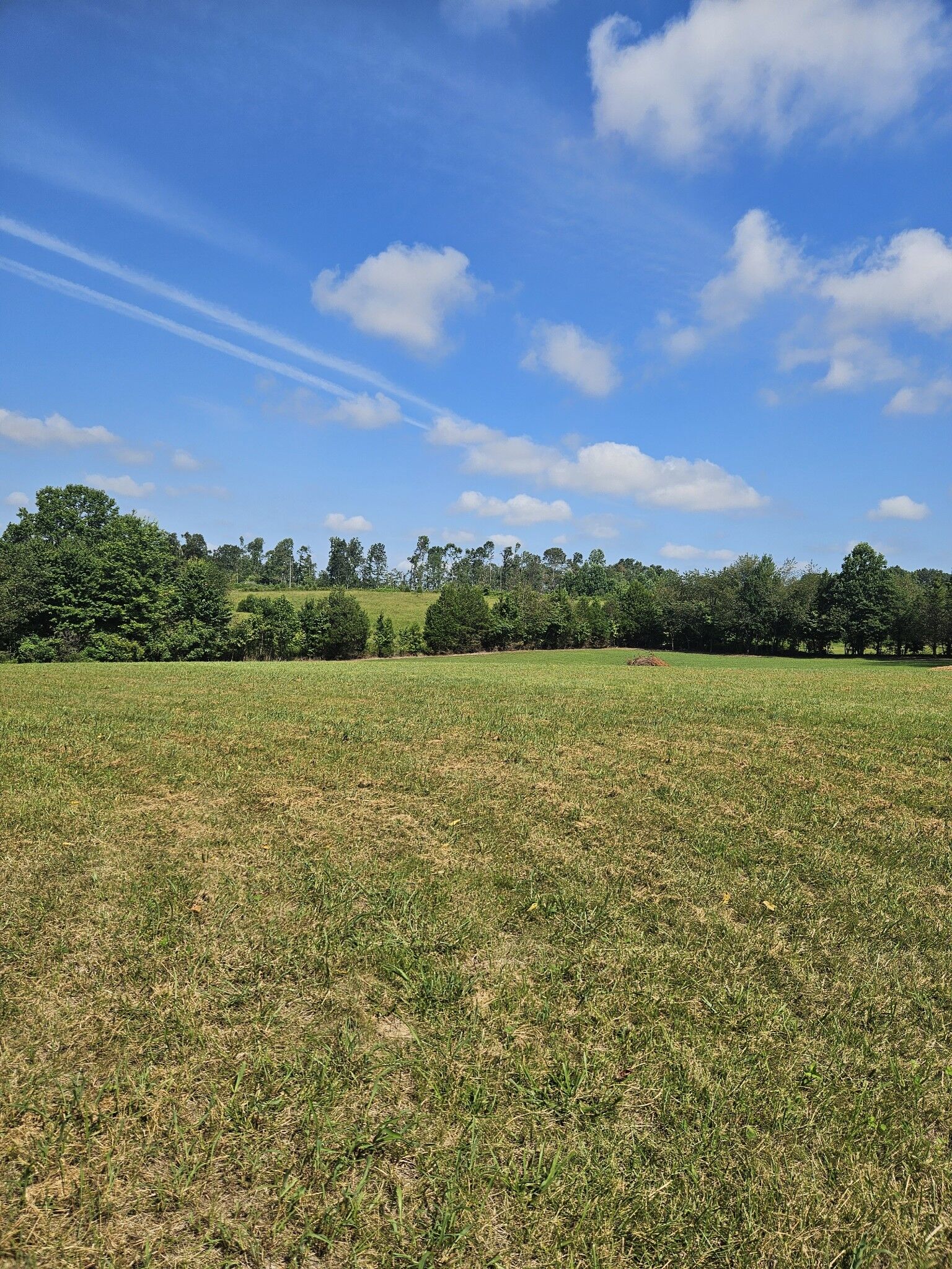 Property Photo:  425 Nubia Rd  TN 37186 