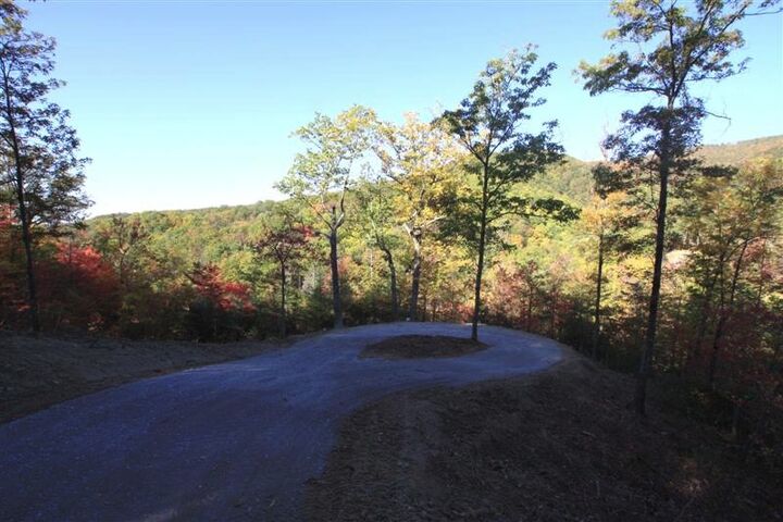 Property Photo:  119 Fern Point Dr  TN 37862 