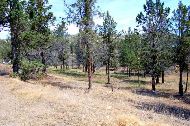 Property Photo:  NE Tl 700 Irvine Avenue  OR 97754 