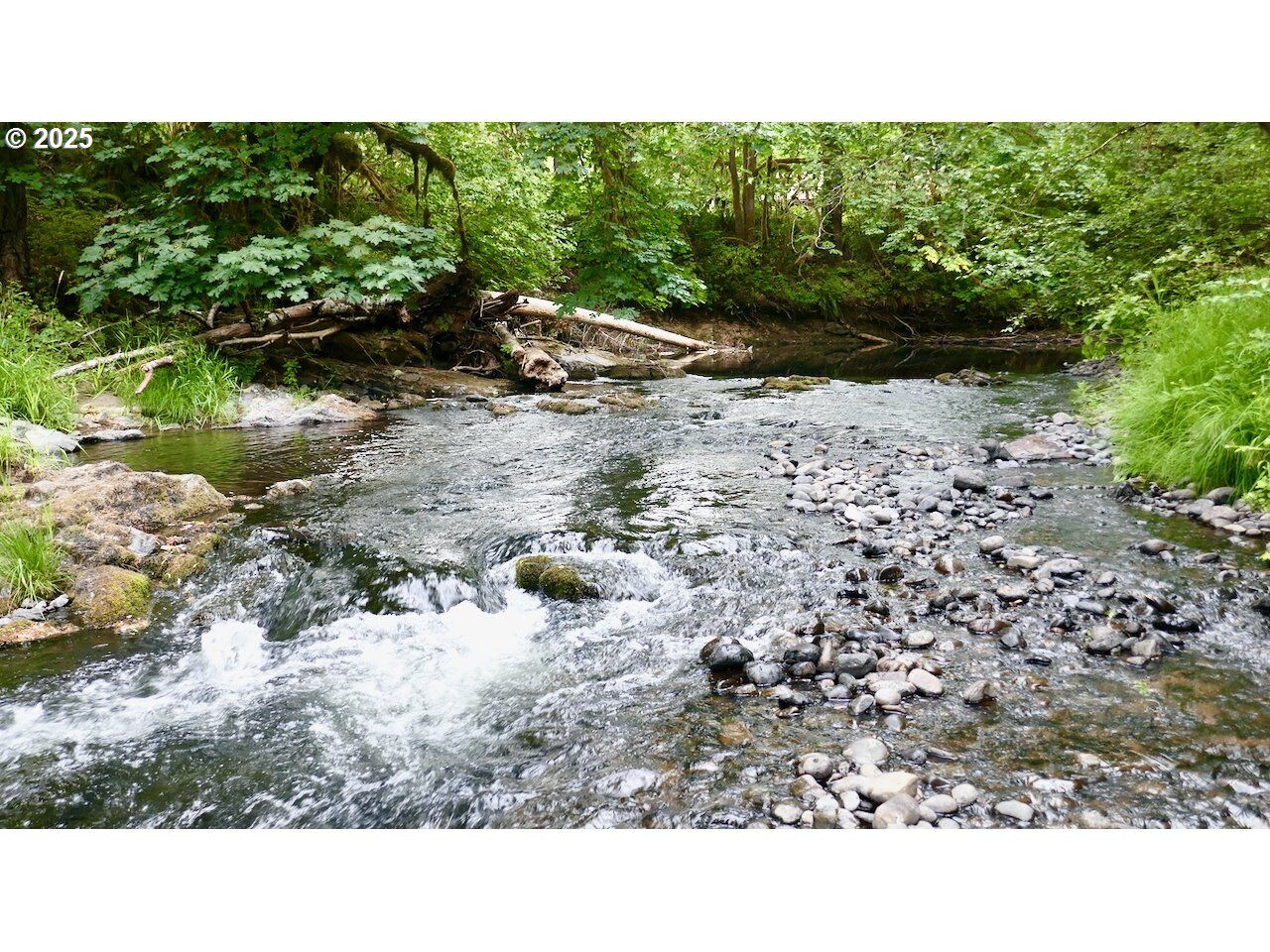 Property Photo: 93933 Marcola Rd OR 97454