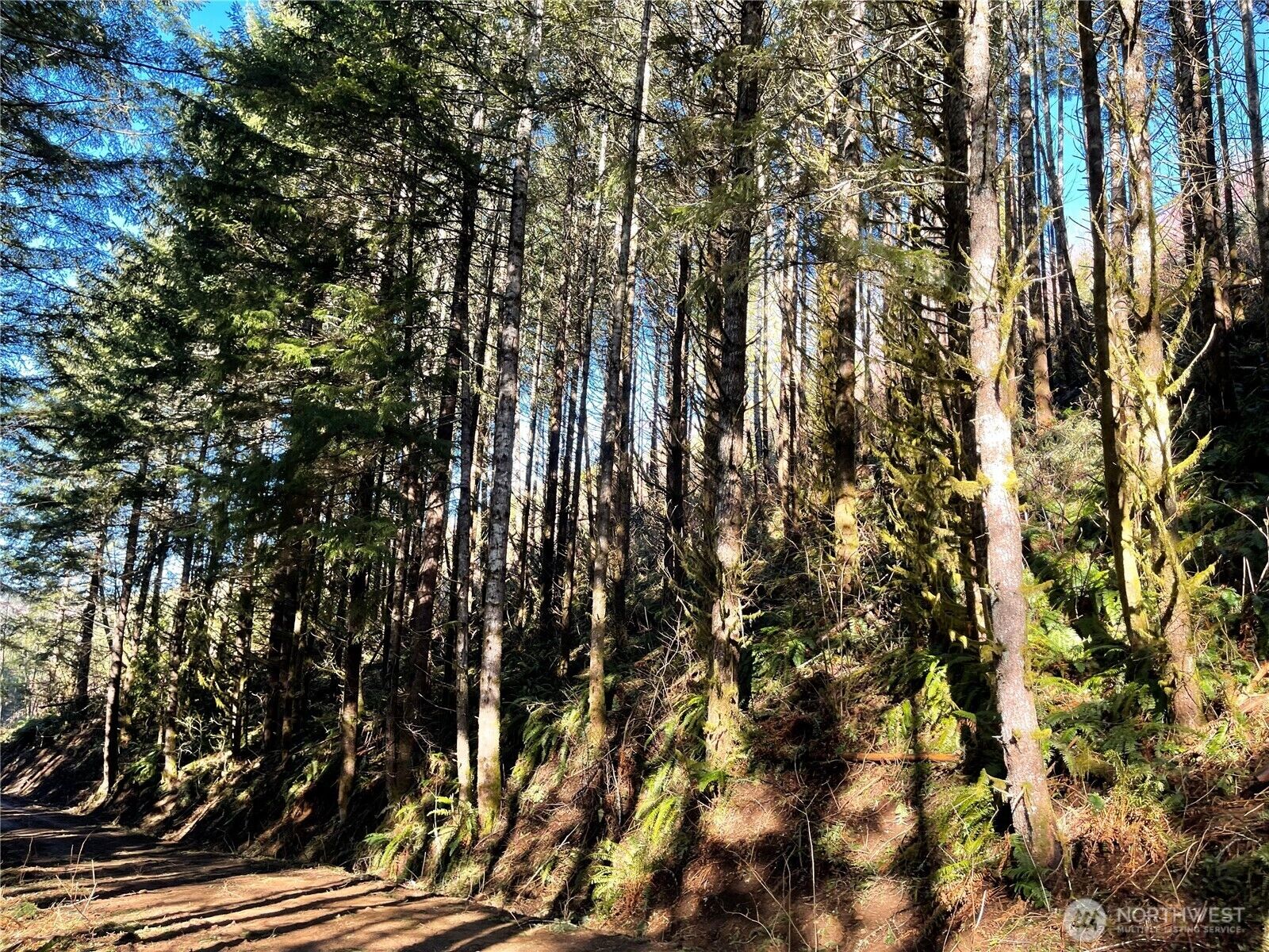 Property Photo:  400 Xx  Short Road  WA 98356 