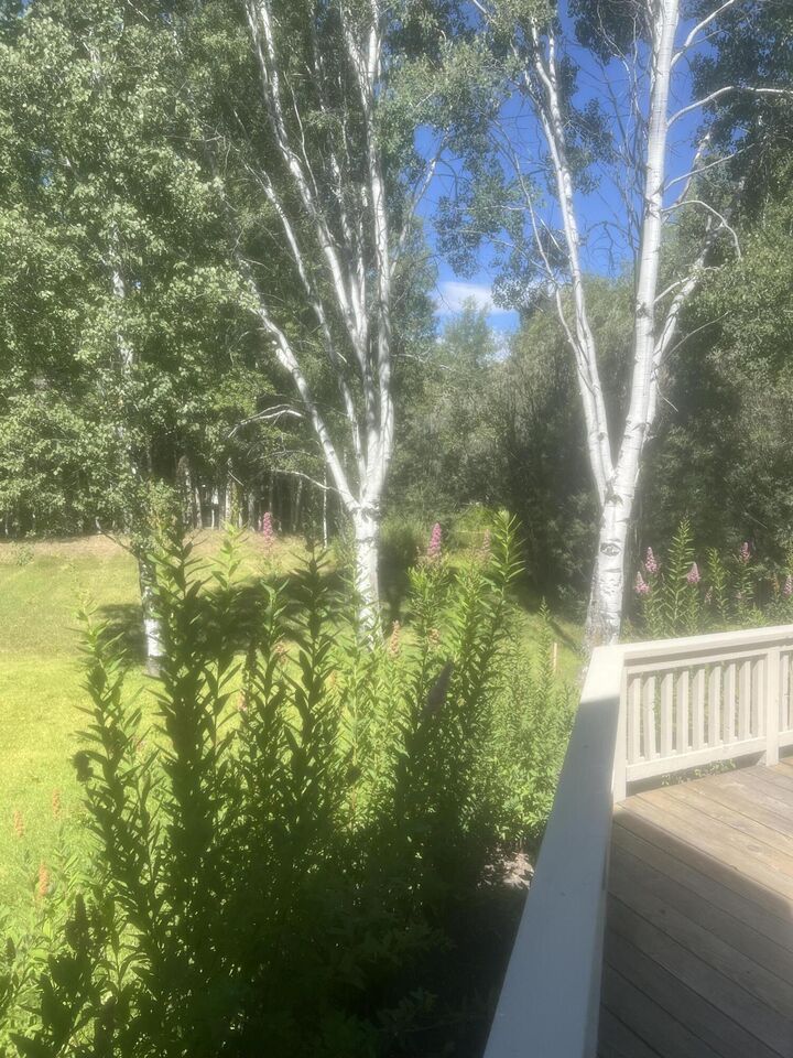 Property Photo: 4 Black Birch Dr ID 83353