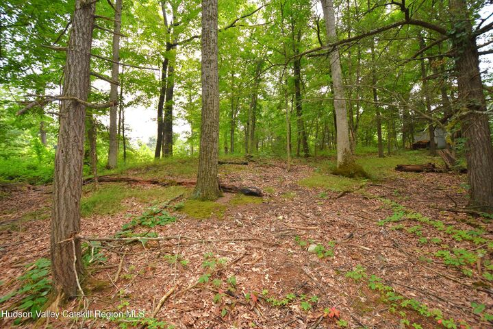 Property Photo:  Tbd Oak  NY 12477 