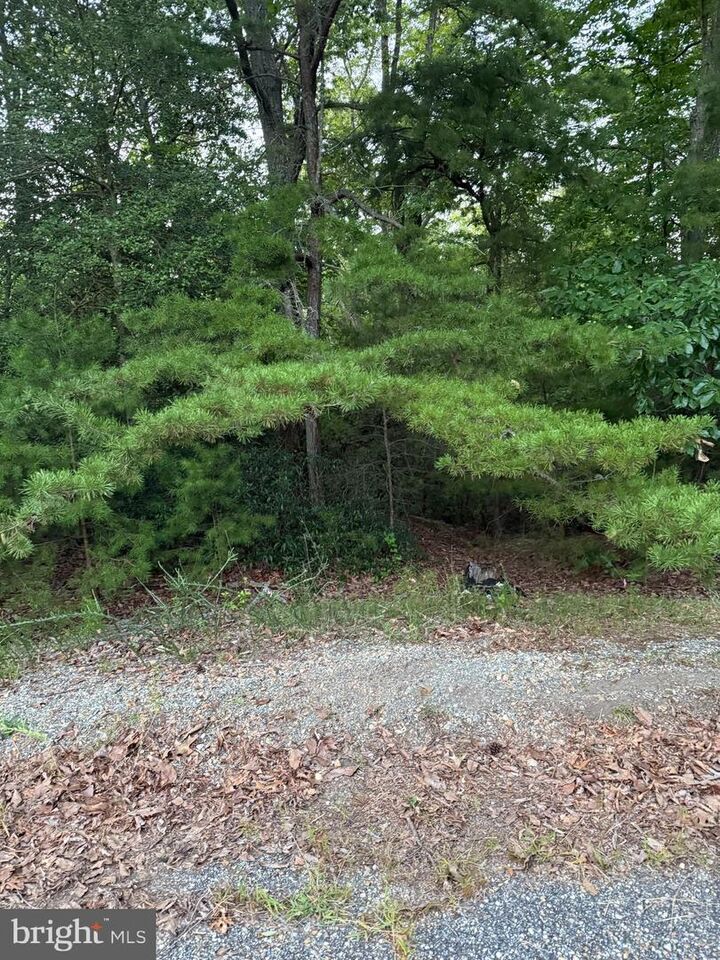 Property Photo: Lot 38 And 39 Calvary VA 22520
