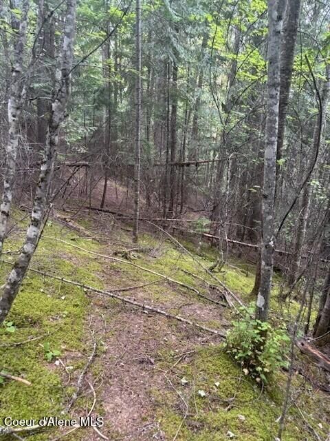 Property Photo: Tbd Big Buck Rd ID 83803
