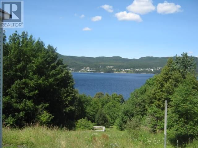 Property Photo:  137 Humber Road  NL A2H 1G5 