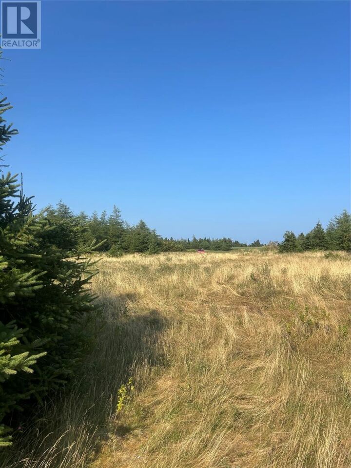 Property Photo:  0 Beaver Pond Road  NL A0A 1W0 
