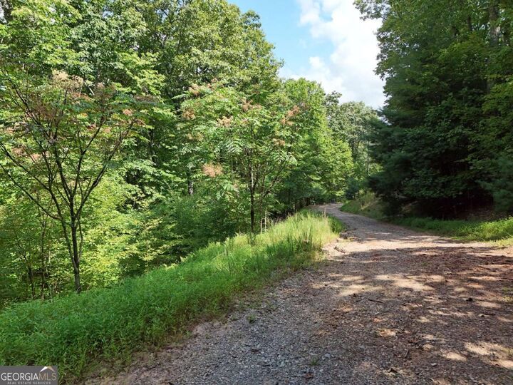 Property Photo: 6.51 Ac High Country Lane GA 30560