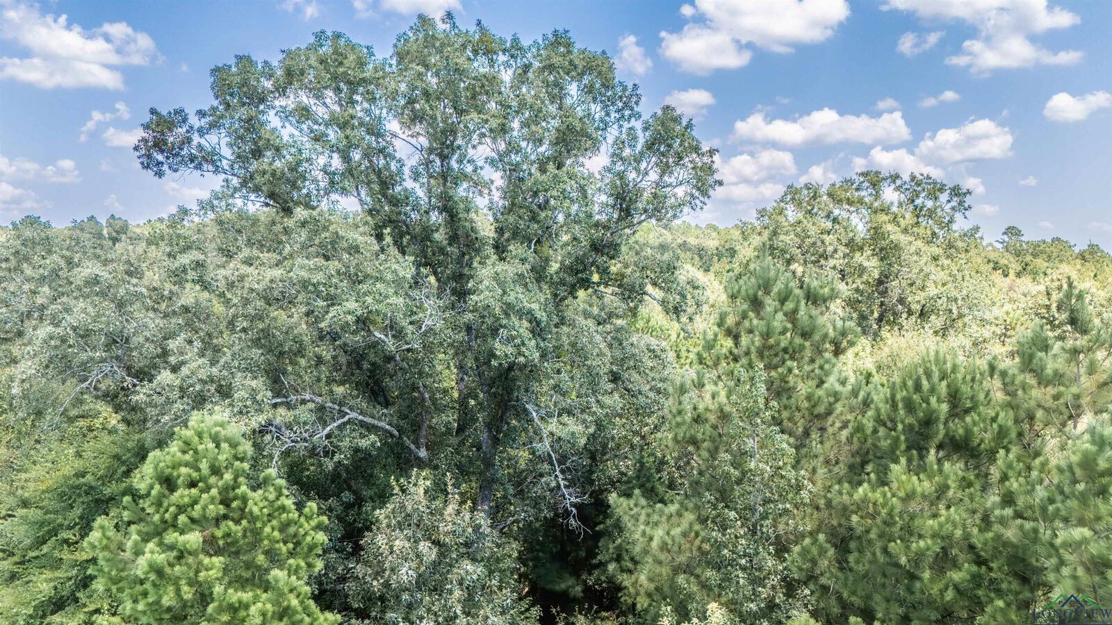 Property Photo:  Tbd Carmel Road  TX 75657 