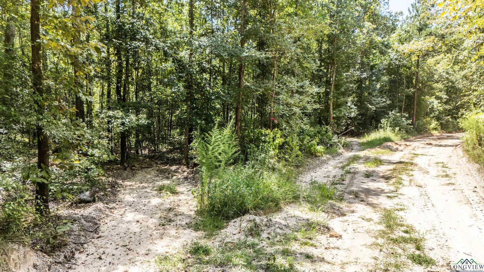 Property Photo:  Tbd Carmel Road  TX 75657 