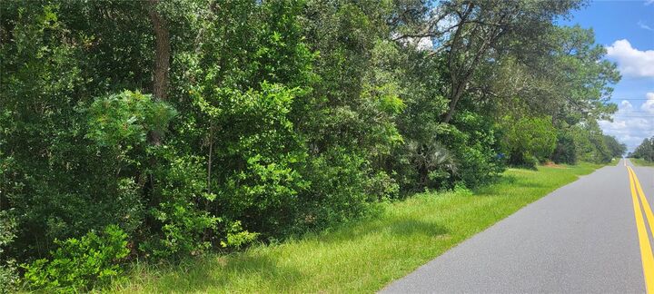 Property Photo: 0 SW Beach Boulevard FL 34431