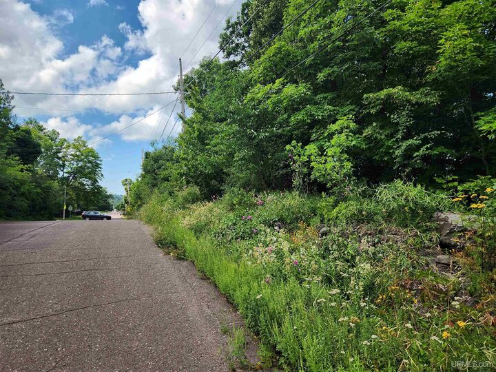 Property Photo:  Tbd 16 &Amp 17 Calverley Avenue  MI 49931 