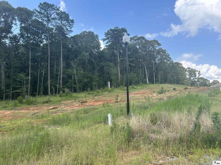 Property Photo:  Lot 10 Ensenada Lane  LA 71292 
