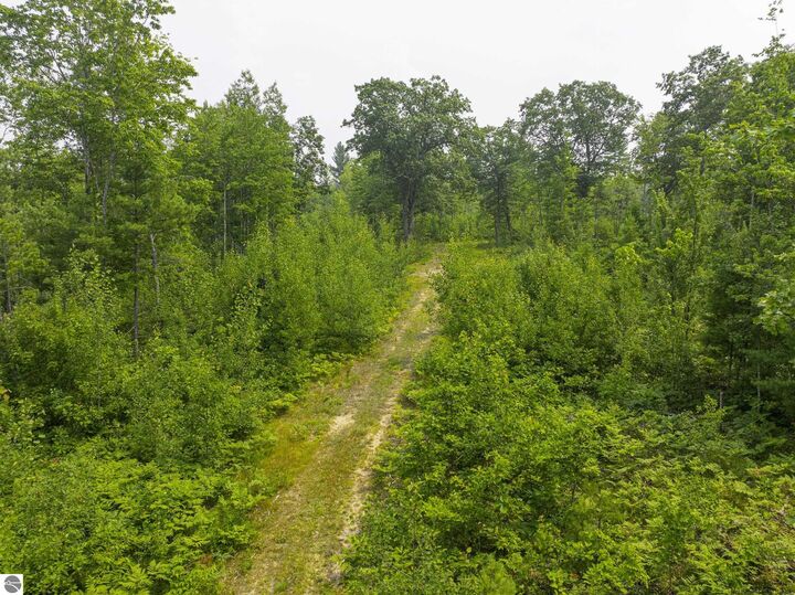 Property Photo: 00 Shady Lane MI 49646