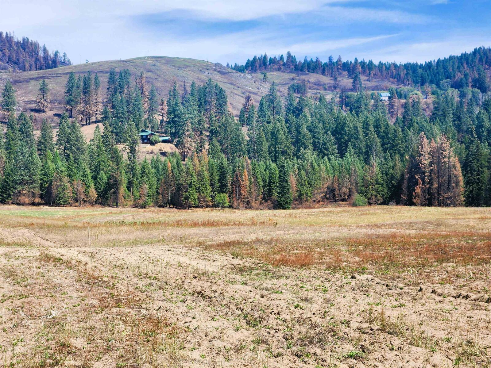 Property Photo:  34xx Northport Flat Creek Rd  WA 99141-9998 