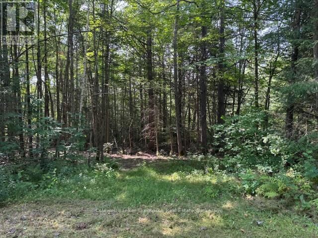 Photo de la propriété:  2613 Stisted Road South  ON P0A 1Y0 