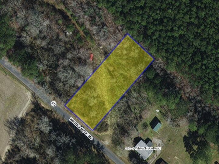 Lot 11 Whites Neck Rd  Parksley VA 23421 photo