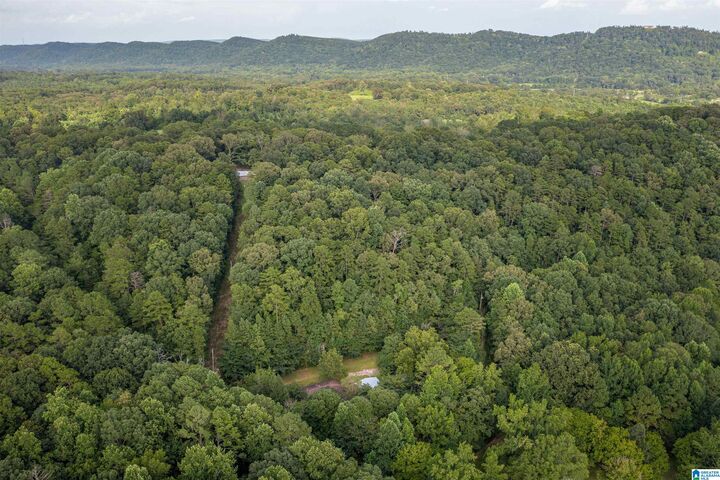 Property Photo: 160 Mill Hill Road AL 35954