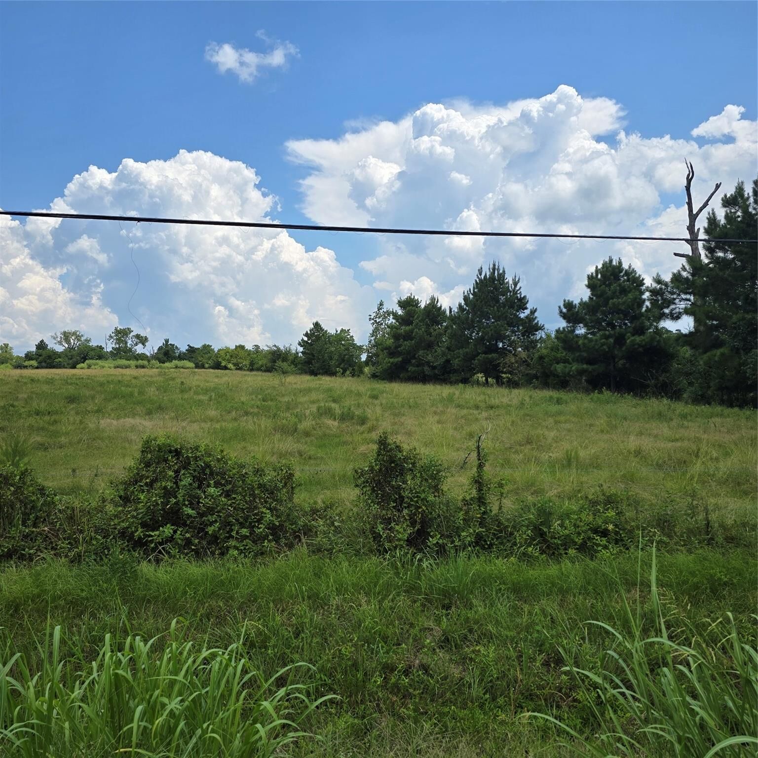 Property Photo: 11151 Tract 3A Hwy 156 TX 77331