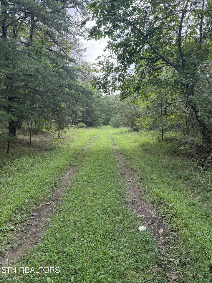 Property Photo: 130 Blackburn Drive TN 38558
