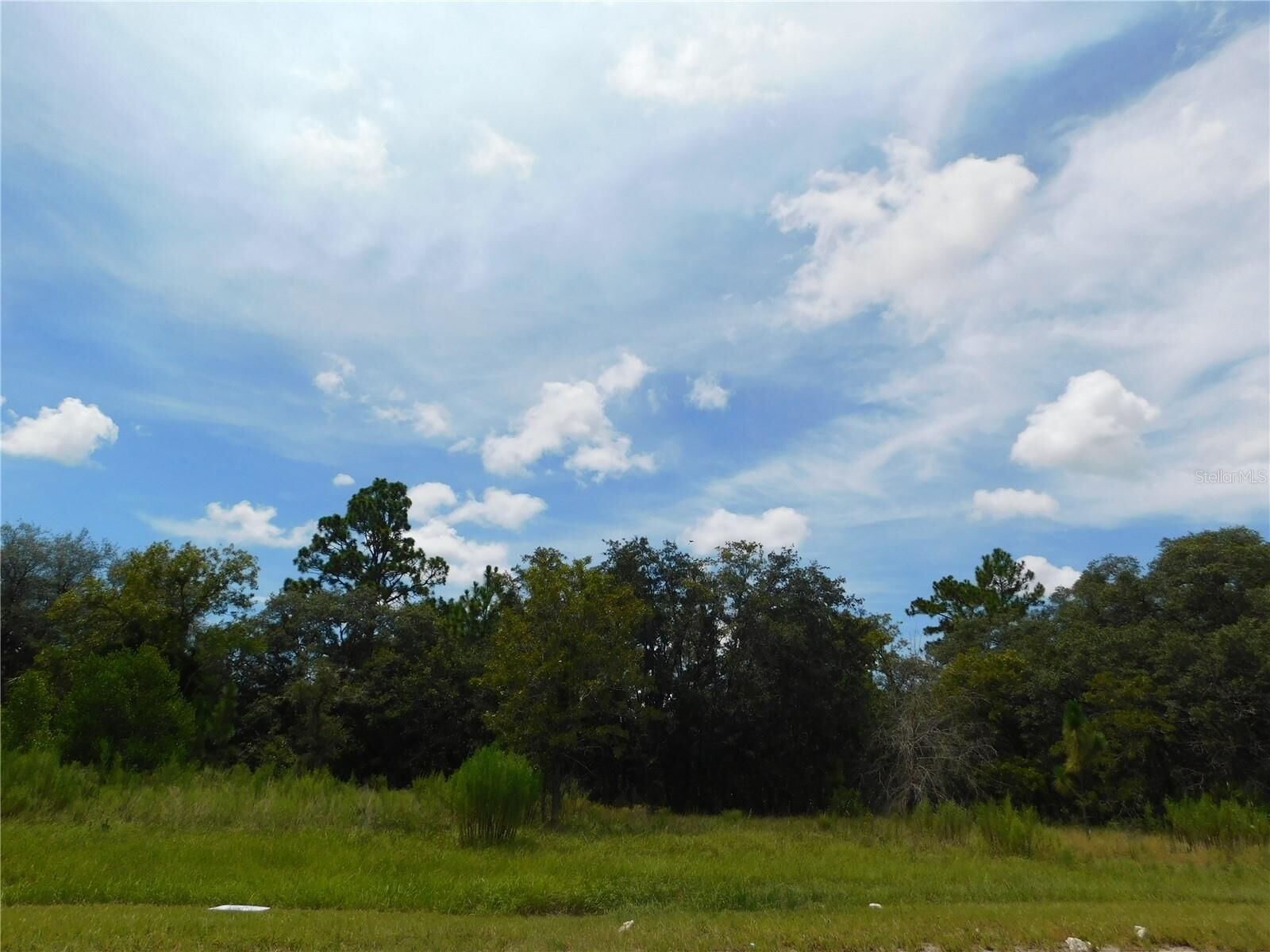 Property Photo: 6683 N Bedstrow Boulevard FL 34434