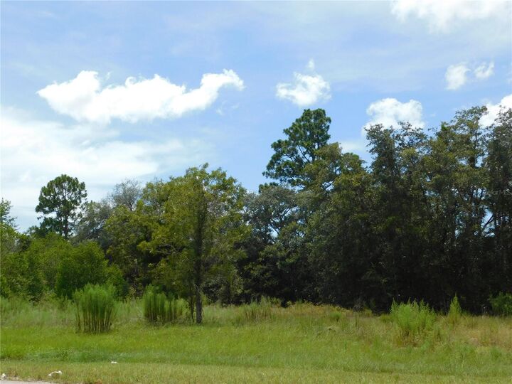 Property Photo: 6681 N Bedstrow Boulevard FL 34434