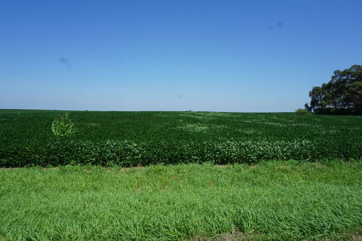 Property Photo: