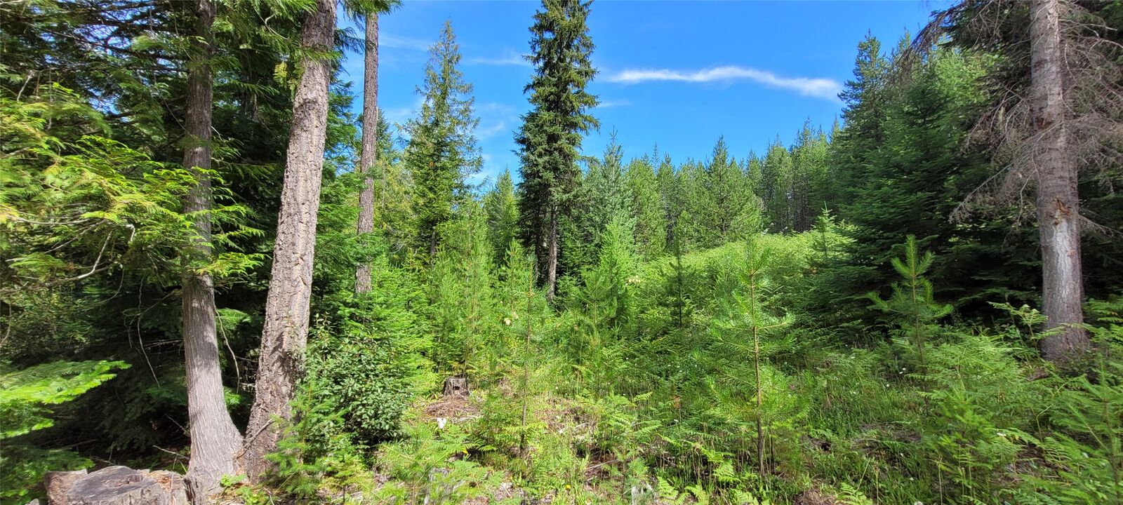 Property Photo: 386 Seahawks Drive MT 59935