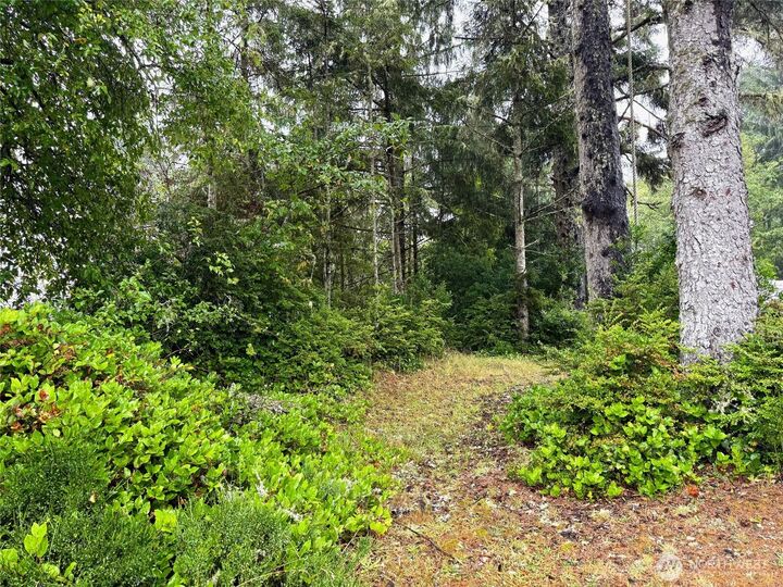 Property Photo:  815  Scaup Court SE  WA 98569 