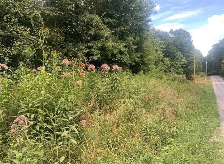 Property Photo: Lot 2B & 4 Vickerman Rd PA 16137