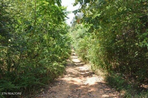 Property Photo: 123 Dogwood Ridge Rd TN 37763