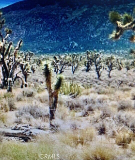 Property Photo: 8 Bobs Gap Road CA 93544