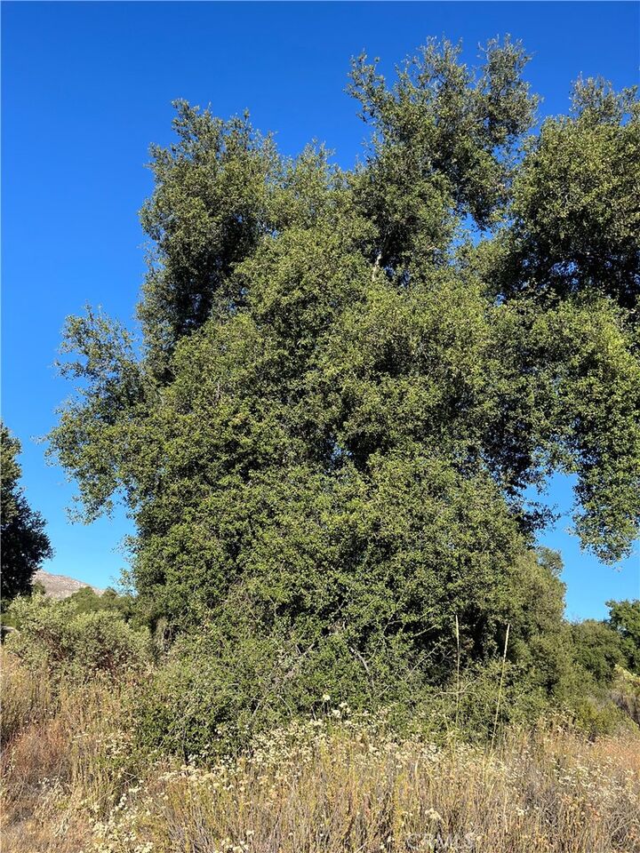 Property Photo:  35250 Willow Creek Road  CA 92544