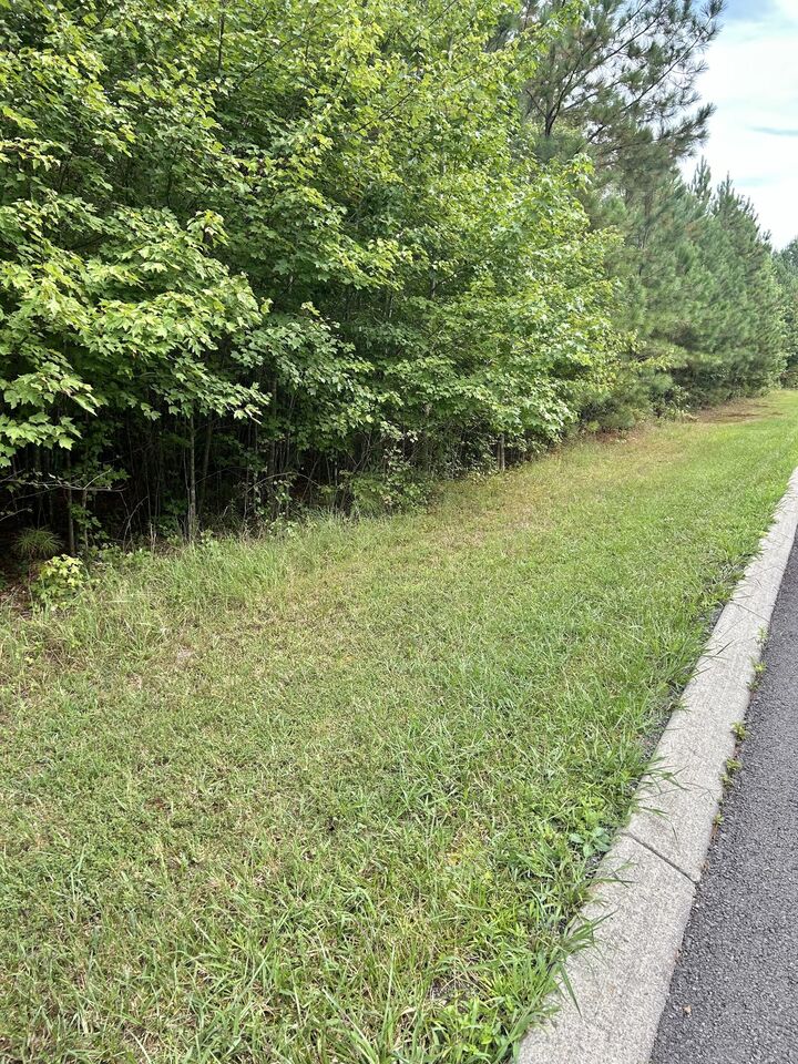 Property Photo: 0 Seminole Ln TN 37355