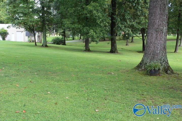 Property Photo: 329 7th Avenue NE AL 35016