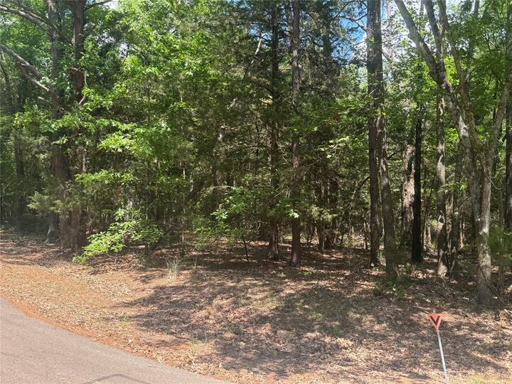 Property Photo:  Lot 73 Cypress Cr  TX 75457 