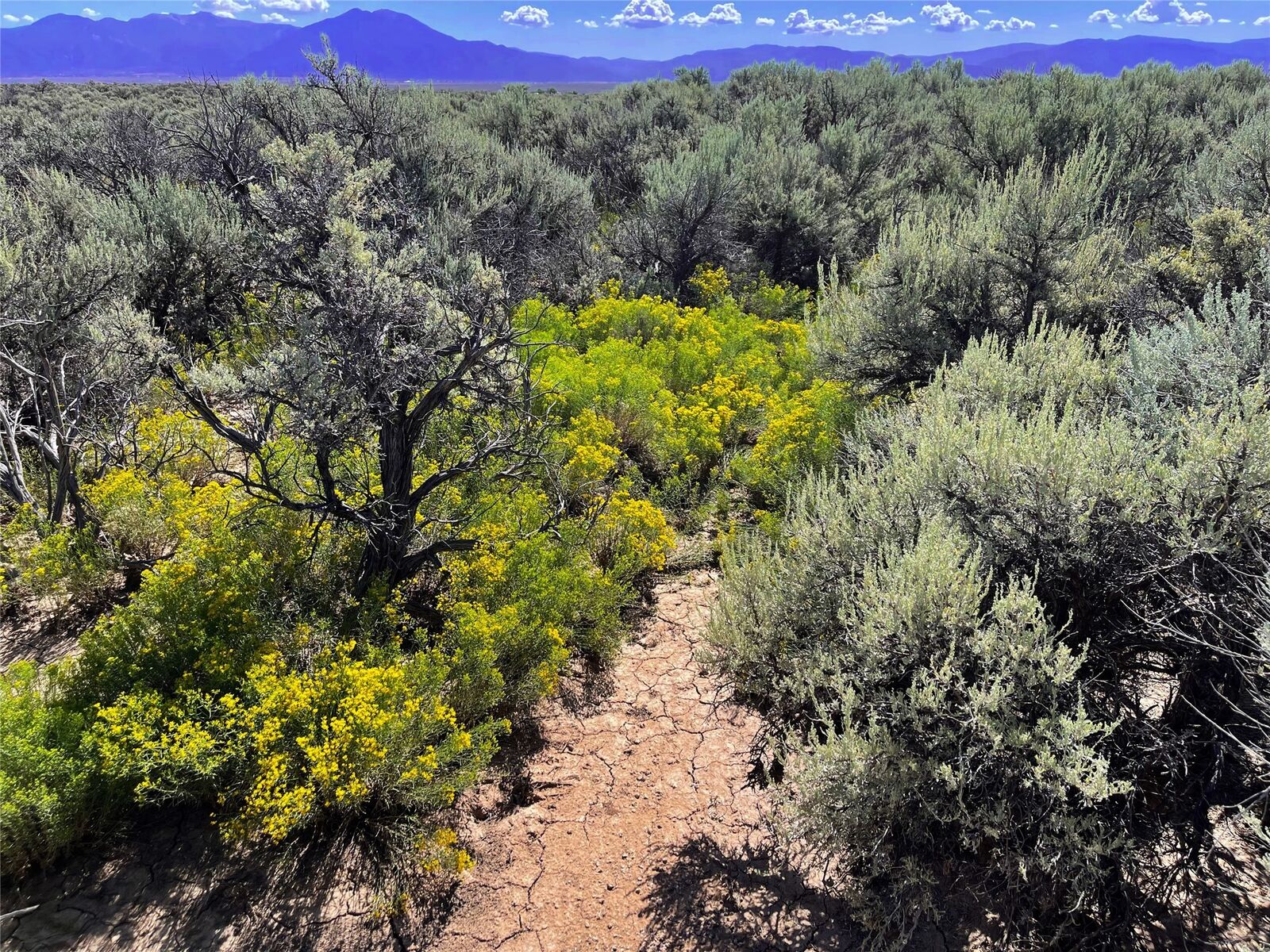 Property Photo:  Xx County Road Cb-115 & West Rim Road  NM 87517 