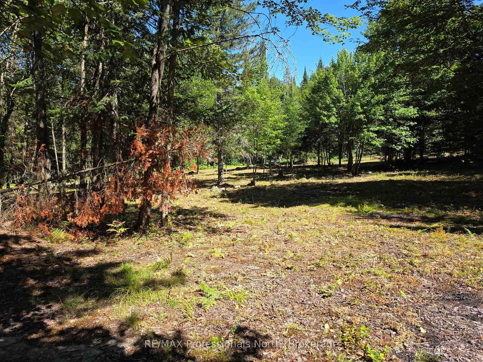 Property Photo:  00 Whitney Road  ON P0A 1R0 