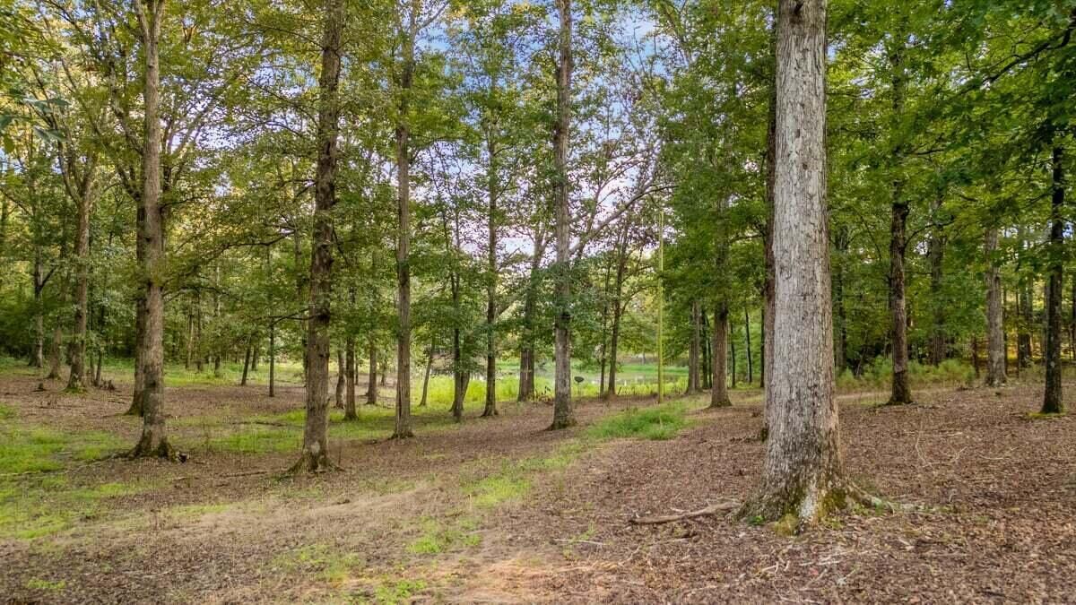 Property Photo: 237 Alvis Rd AL 35554