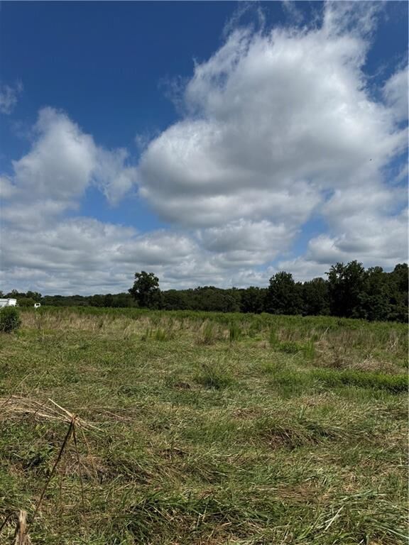 Property Photo:  0 Marlow Road  GA 30558 