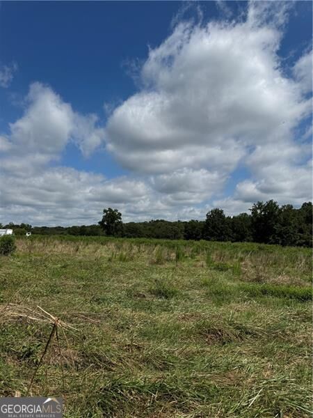 Property Photo: 0 Marlow Road GA 30558