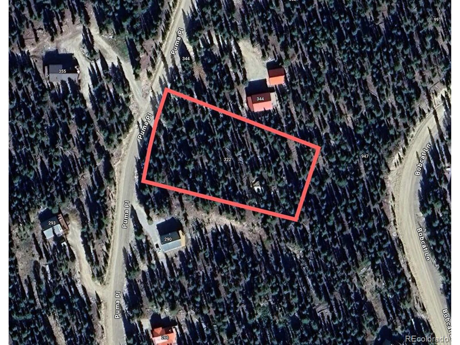 Property Photo:  322 Puma Pl  CO 80440 